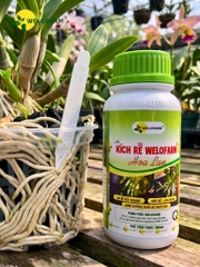Kích Rễ Welofarm Hoa Lan