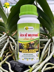 Kích Rễ Welofarm Hoa Lan