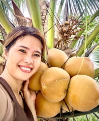 Dừa Xiêm Đỏ Mã Lai