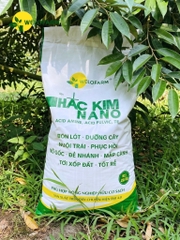 Hắc Kim Nano