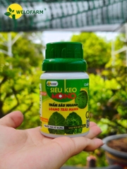 Siêu Keo Mono