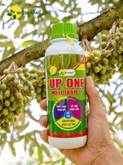 Up One Nano Welofarm