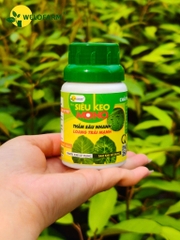 Siêu Keo Mono