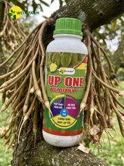 Up One Nano Welofarm