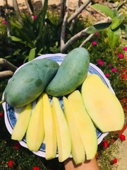 Xoài Thái
