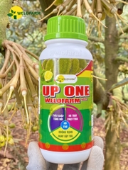 Up One Nano Welofarm