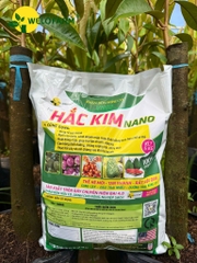 Hắc Kim Nano