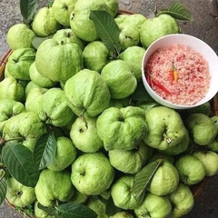 Ổi Nữ Hoàng