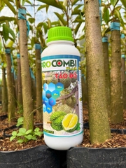 Pro Combi Tảo Đỏ Plus