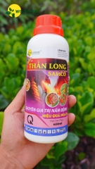 Thần Long Samco