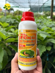 Rồng Lửa NaRa
