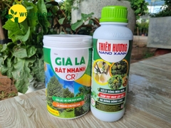 Bộ Già Lá Nhanh CR7