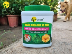 Chống Mít Xơ Đen