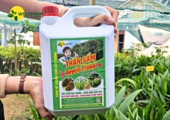 5L - Thần Sấm Diệt Tuyến Trùng