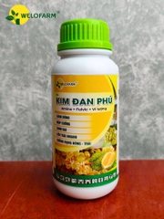 Kim Đan Phú