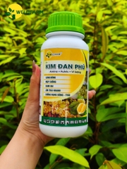 Kim Đan Phú