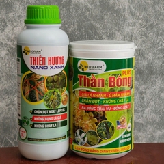 Bộ Đôi LÀm Già Lá - Xử Lý Bông Mùa Mưa