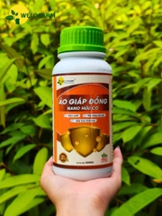 Áo Giáp Đồng Nano Hữu Cơ