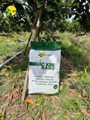 Hắc Kim Nano