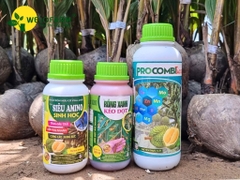 BỘ 3 VỌT ĐỌT