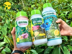 BỘ 3 VỌT ĐỌT
