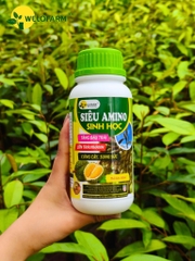 Siêu Amino Sinh Học (Nâng Cấp)