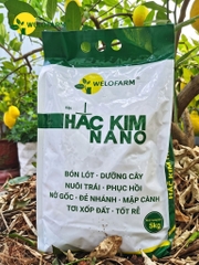 Hắc Kim Nano
