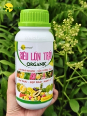 Siêu Lớn Trái USA