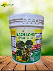 Bạch Long Nano Xanh