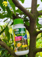 Siêu Amino Sinh Học (Nâng Cấp)
