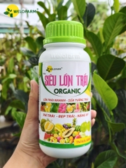 Siêu Lớn Trái USA