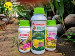 Bộ Dưỡng Bông Cao Cấp