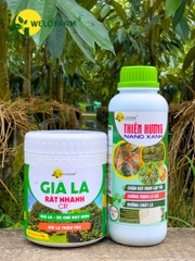 Bộ Già Lá Nhanh CR7