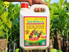 Siêu Dưỡng Cây