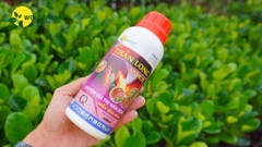 Thần Long Samco