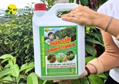 5L - Thần Sấm Diệt Tuyến Trùng