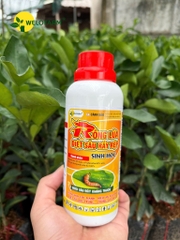 Rồng Lửa NaRa