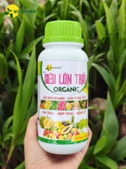 Siêu Lớn Trái USA