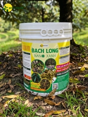 Bạch Long Nano Xanh