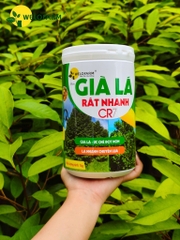 Già Lá Rất Nhanh