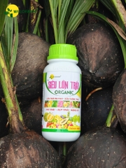 Siêu Lớn Trái USA