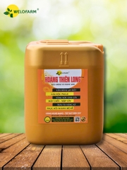 Plus Hoàng Thiên Long