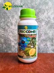 Procombi Tảo Đỏ 1L