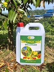 Siêu Phục Hồi