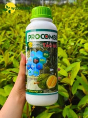 Procombi Tảo Đỏ 1L