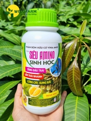 Siêu Amino Sinh Học (Nâng Cấp)