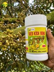 Siêu Kích Bông