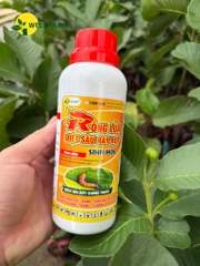 Rồng Lửa NaRa