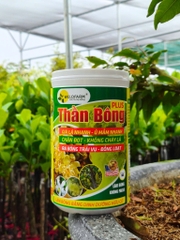 Thần Bông Plus