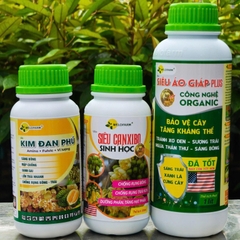Bộ Siêu Nuôi Trái Lớn Nhanh